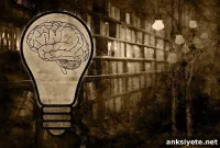 U.S. IQ Scores Drop in Some Regions, Rise in One