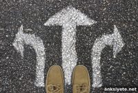 How the Brain’s Internal Compass Guides Human Navigation