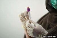 Researchers Find Blood Biomarkers for PTSD