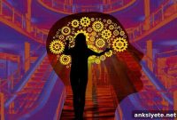 How We Experience and Remember Everyday Places