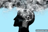 Obstructive Sleep Apnea Could Trigger Early Cognitive Decline