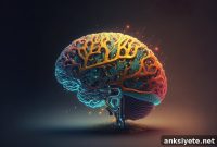 How the Adolescent Brain Develops: New Sequence Insights