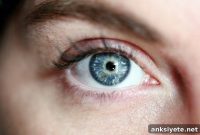Stem Cell Therapy Could Restore Vision in Macular Degeneration