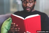 How Reading Activates Two Distinct Brain Networks