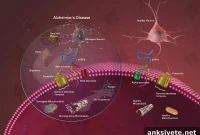 Buphenyl Shows Promise as an Alzheimer’s Treatment