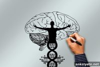 New Gene Linked to Anxiety Identified in Study