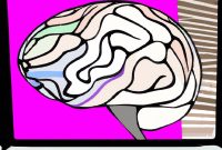 Tackling AI Bias in Medical Imaging to Improve Diagnoses