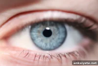 60-Second Eye-Tracking Test to Detect Schizophrenia
