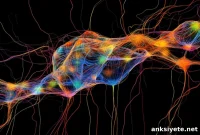 AI Mimics Brain Memory Replay to Reveal How We Learn
