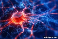 AI Detects Early Parkinson’s Biomarkers in Blood