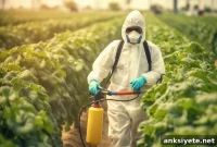 Which Pesticides Are Linked to Parkinson’s Disease?