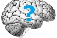 Are Neuroscience Research Findings Reliable? Experts Weigh In