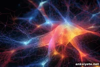 How AI Reveals Brain Synapse Strength