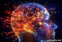 Surprising Cognitive Benefits Found in a Common Laxative