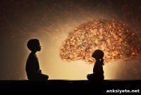 How Childhood Poverty Alters Brain Communication Pathways