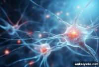 Protein Suppression Slows Alzheimer’s Progression