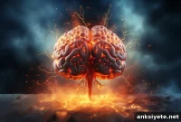 New Aging Pathway Fuels Chronic Inflammation