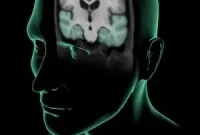 Cancer Drug Stops Harmful Protein Buildup in the Brain