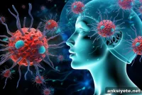 Surprising Role of Regulatory T Cells in Mood and Memory