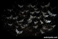 Study Finds Bats Use Brain’s GPS to Navigate Social Lives