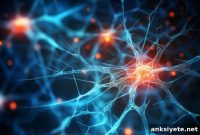 Glymphatic System Drives Alpha-Synuclein Spread in Parkinson’s