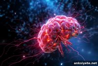 How the Blood-Brain Barrier Shapes Behavior