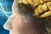 Physicist’s Technique Could Transform Brain Mapping