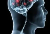 Research Uncovers New Approach to Multiple Sclerosis Treatment