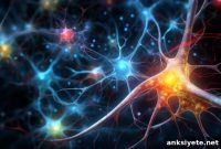 How Synaptic Molecular Mechanisms Drive Neural Diversity
