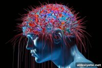 Amygdala Mapping Sparks Hope for Treating Cocaine Addiction