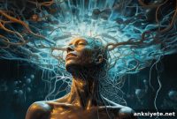 Study Identifies Deep Brain Circuit Linked to Discomfort