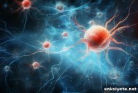 Stem Cell Therapy May Slow Progressive Multiple Sclerosis