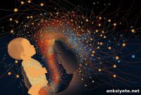 Prenatal Discrimination Alters Infant Brain Connectivity