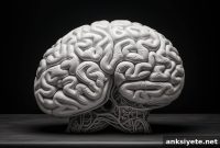 Complete Cell Atlas Unveils Mammalian Brain at Cellular Level