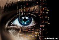 Eye-Tracking Study Reveals How Autism Alters Social Attention