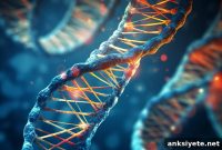 Obesity Gene Impairs Mitochondrial Function