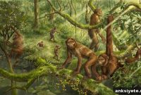 Ancient Skulls Reveal How Humans Evolved to Walk Upright
