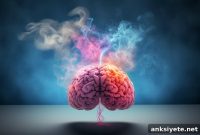 How Odors Influence the Brain’s Decision Making