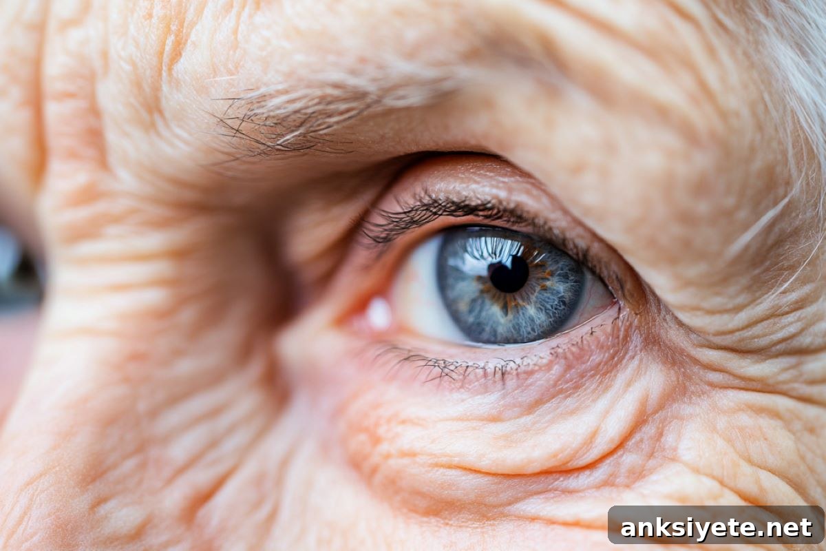 Macular Degeneration: New Protein Therapy Reduces Symptoms 2 This shows a woman's eye.