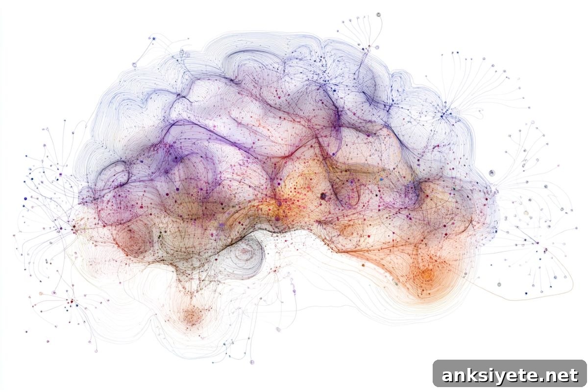 New Study Identifies Distinct Brain Network in Schizophrenia 2 This shows a brain.