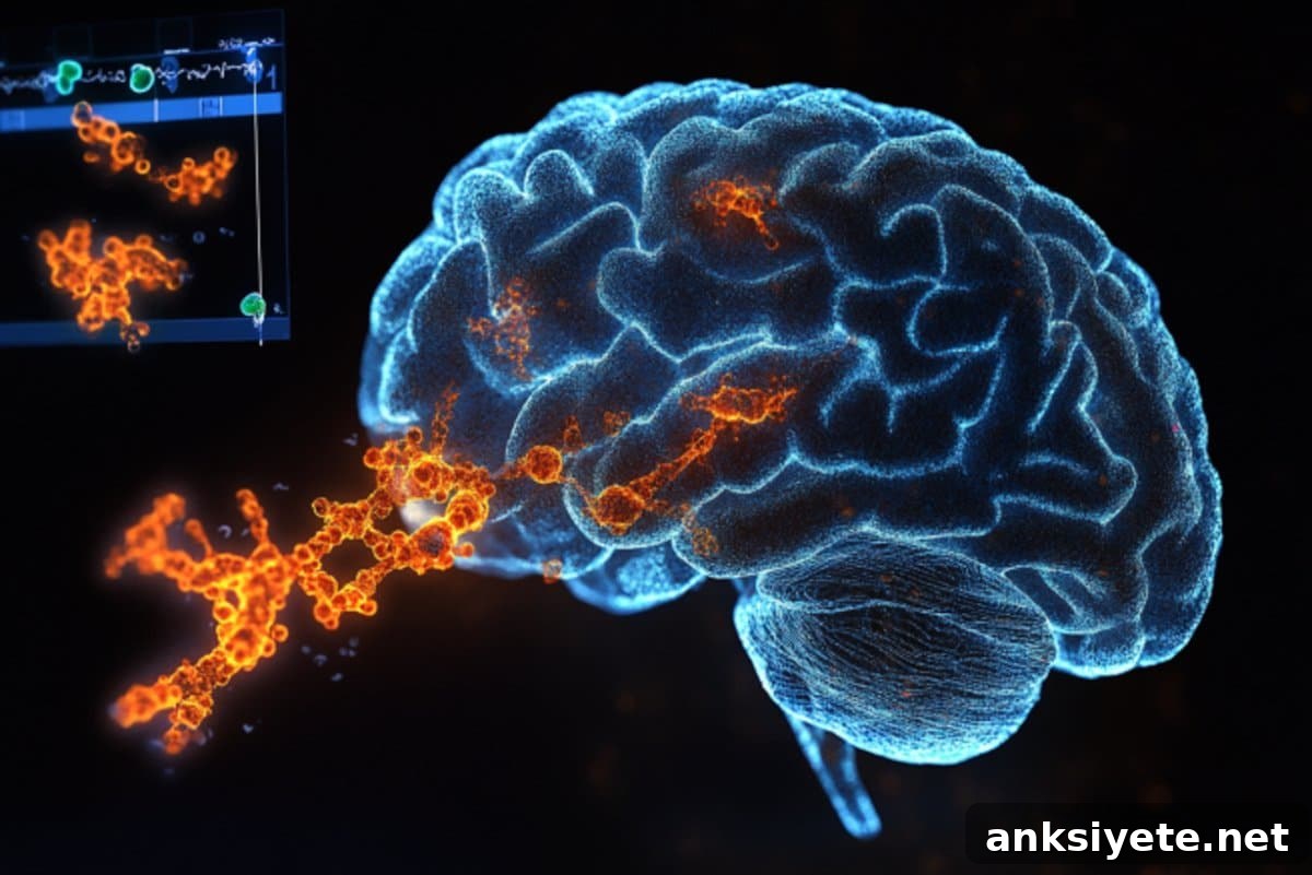 This shows a brain.