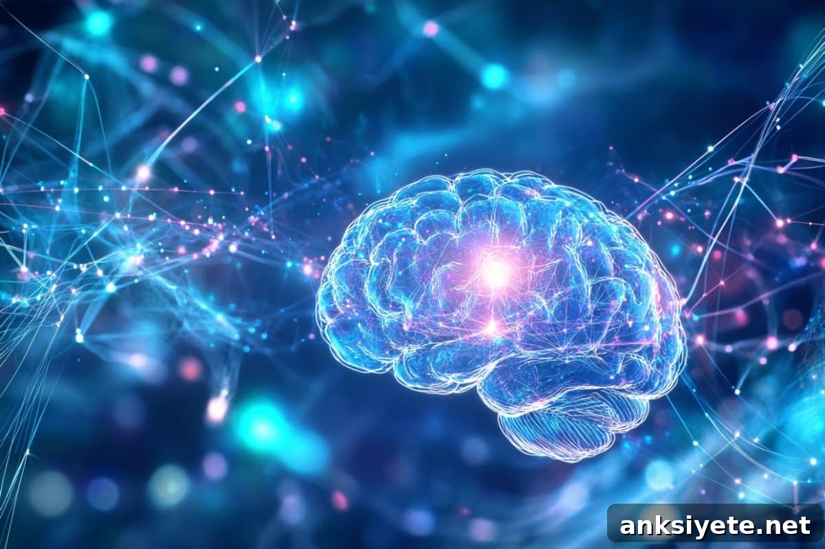 This shows a brain.