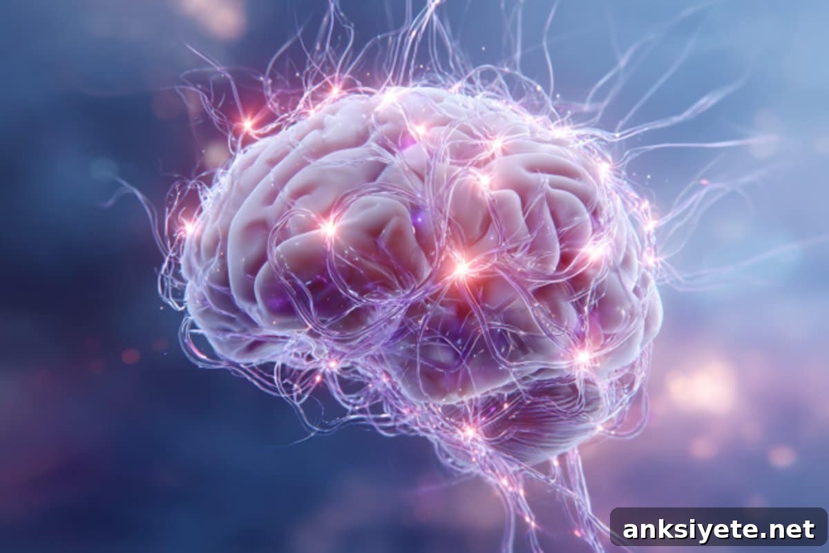 This shows a brain.