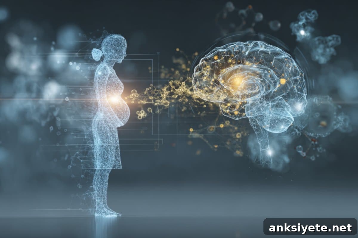 This shows a pregnant woman and a brain.