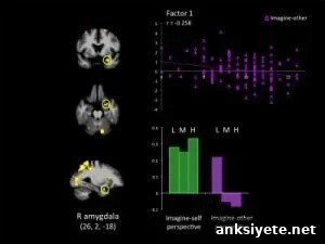 The image shows an fMRI of a psychopath's brain. The caption best describes the image.