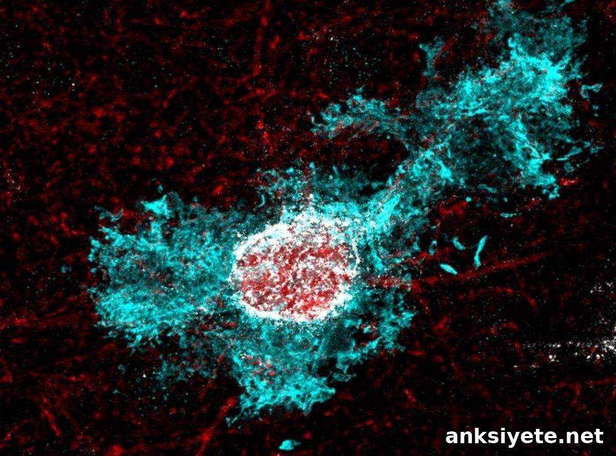 This shows an astrocyte.