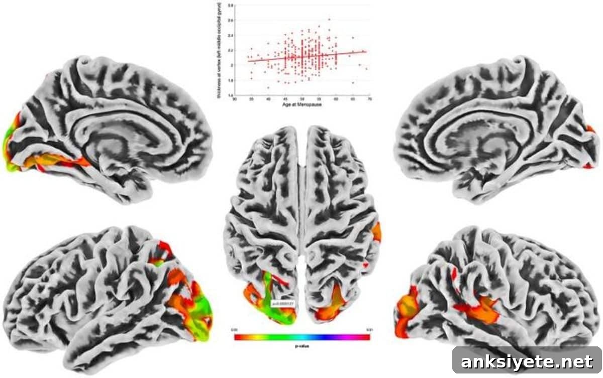 This shows brain scans from the study.