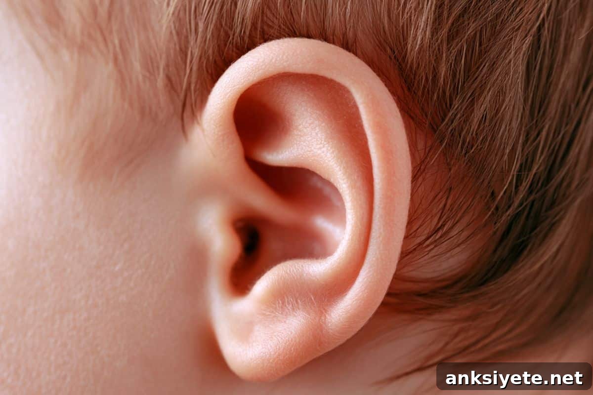 This shows a child's ear.