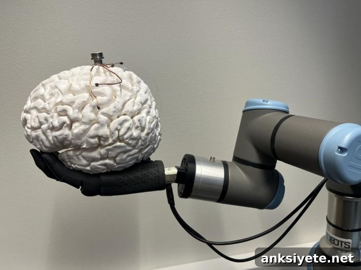 This shows a robotic hand holding a brain with the bci on top of it.