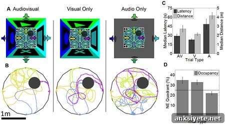 This image is adapted from the research. The caption best describes the image.